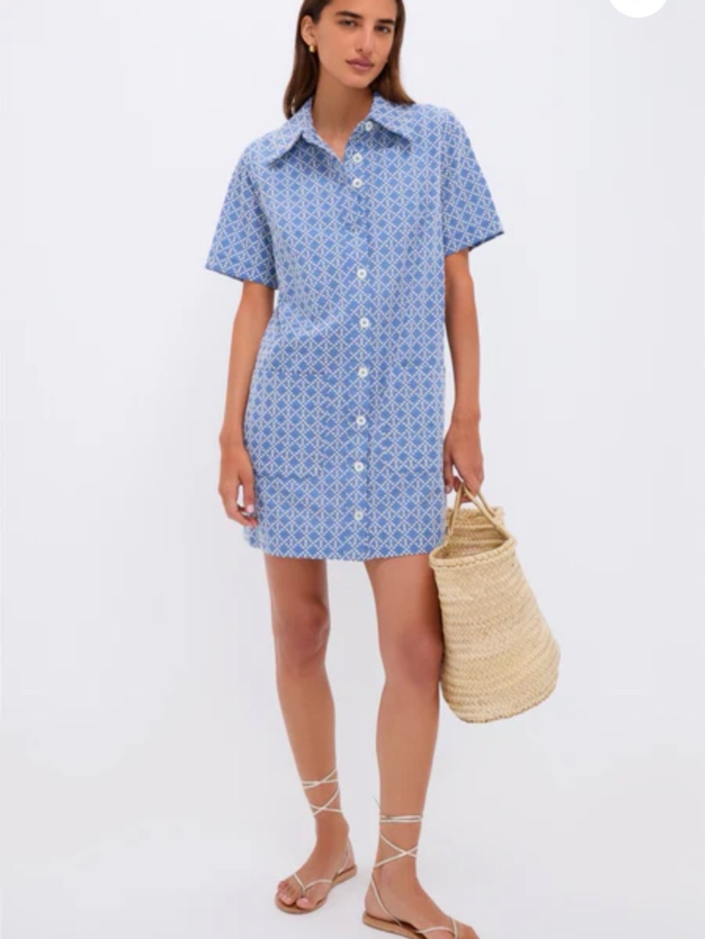 Pomander Place Blue and White Patterned Button Shirt dress